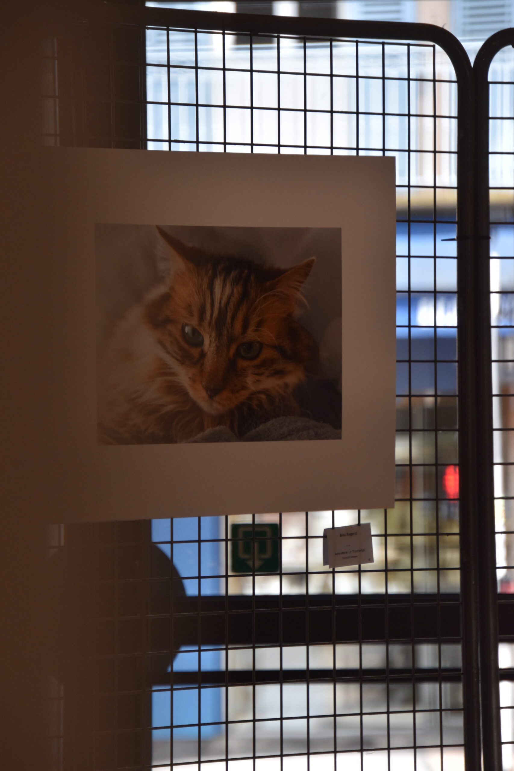 17e Rencontres Photographiques – Collectif – Livre D’occasion En Bon état